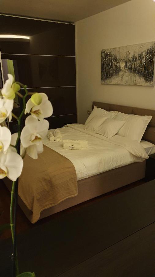 Harmony Apartmani Arandjelovac Luaran gambar